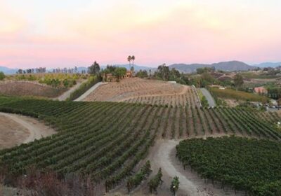 best_day_trip_from_san_diego_temecula